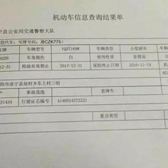 洛阳车牌号最新动态与解析