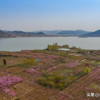 南岸水库最新动态，守护水资源，共筑绿色家园