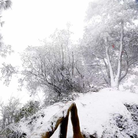 2025年广安的雪景展望