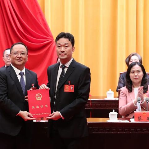 深圳最新行政区概览