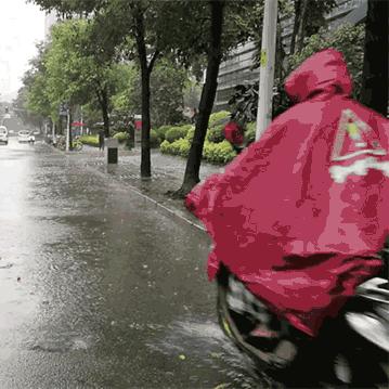 福建省最新台风动态及应对措施