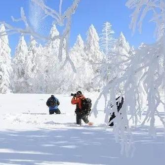 2025年日本降雪量增多的原因分析