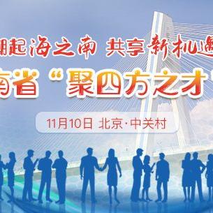 海南省选调生2025年公告官网，新机遇，新征程